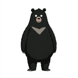 Taiwanese Black Bear